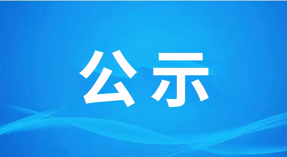 公示